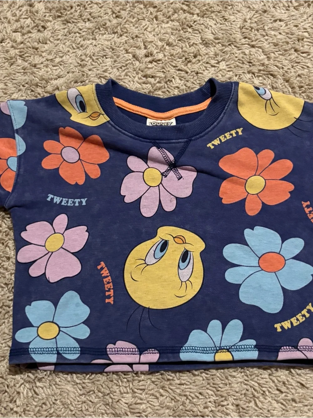 Looney Tunes Mania adorable looney